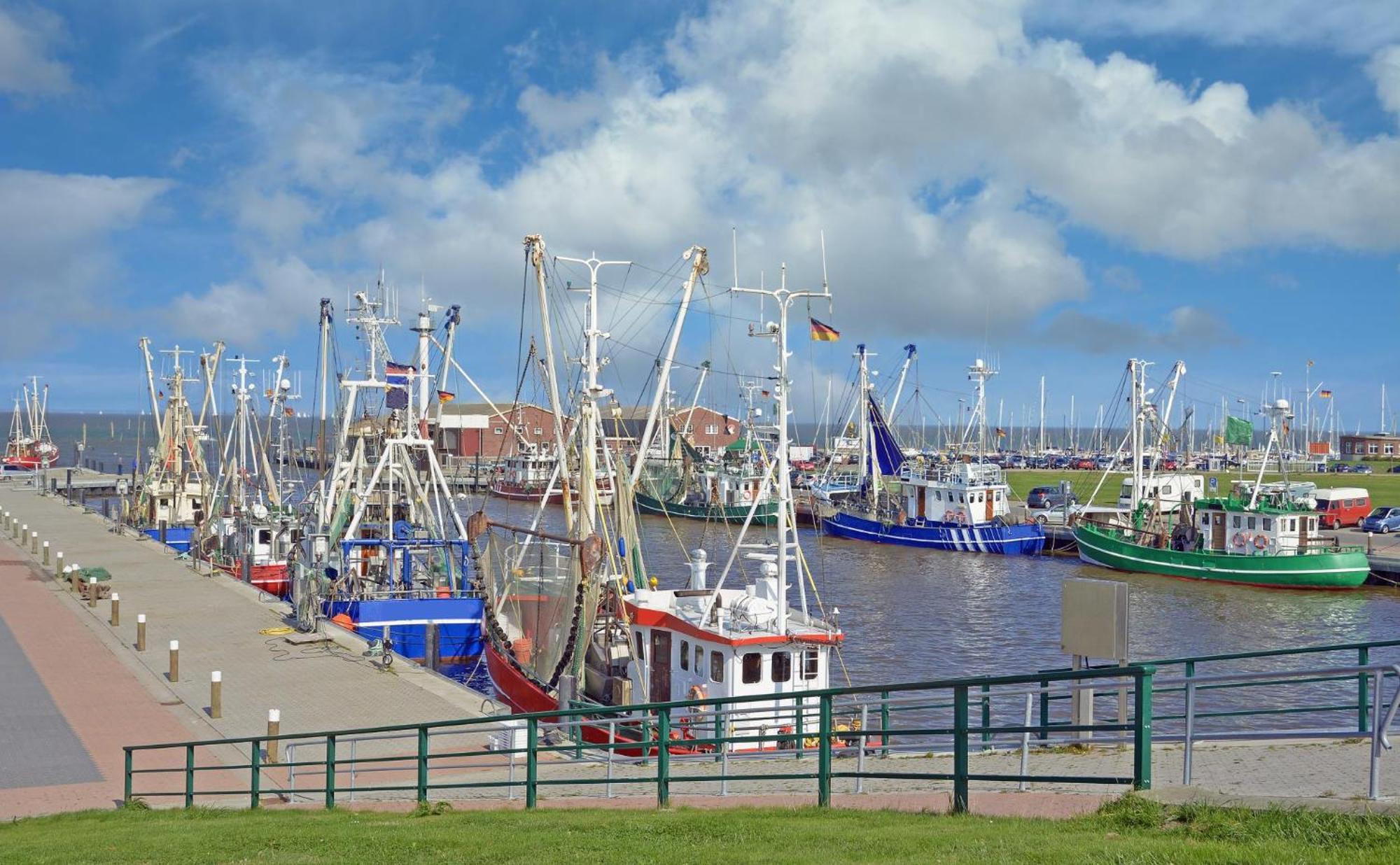 Ferienhaus Hornhecht Dornumersiel Bagian luar foto